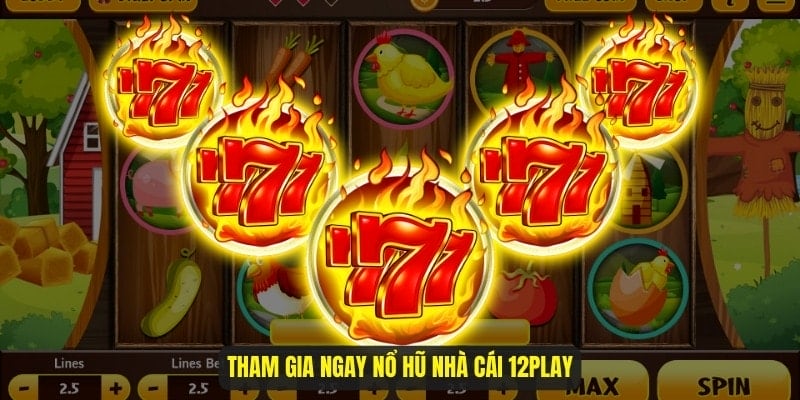 Tham gia ngay nổ hũ nhà cái 12Play